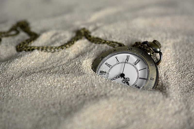 Time Traveler Image